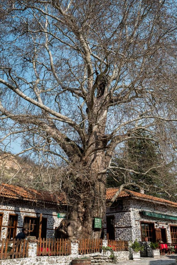 Комплекс Стария Чинар 梅尔尼克 外观 照片