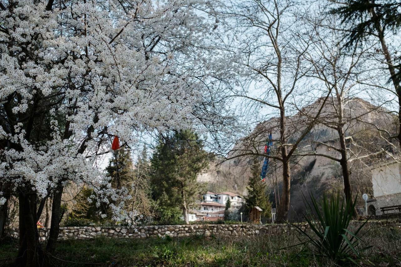 Комплекс Стария Чинар 梅尔尼克 外观 照片